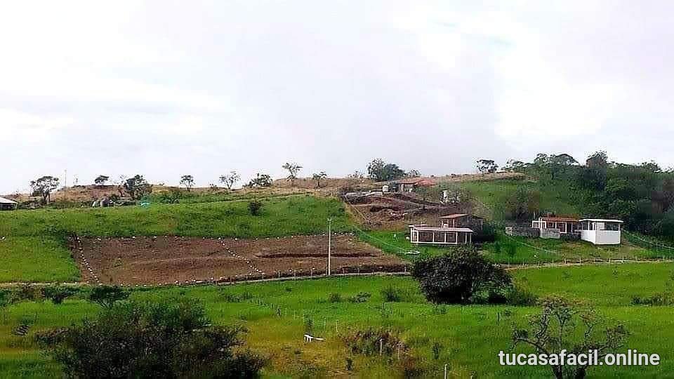 Terreno en venta en Campestre Vista Hermosa, Comala, foto 3