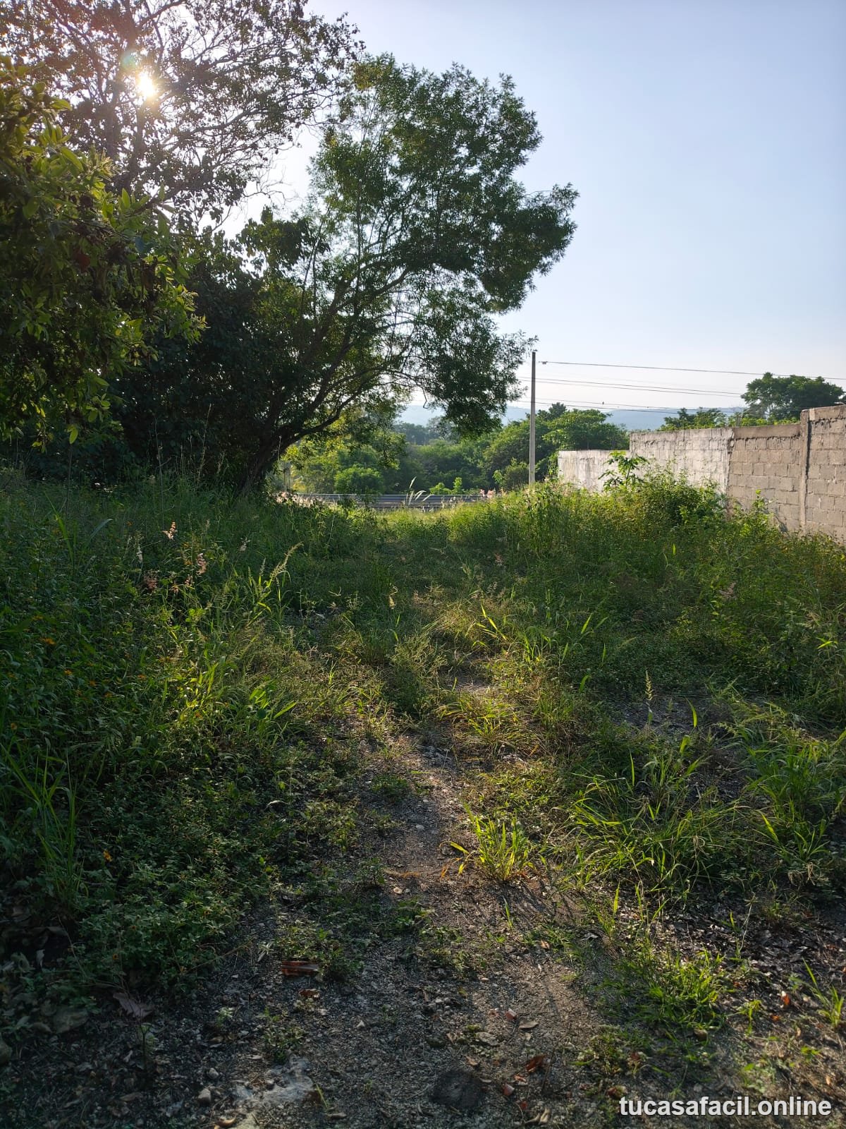 Terreno en venta en COMUNIDAD CARRRIZAL, Emiliano Zapata, foto 1
