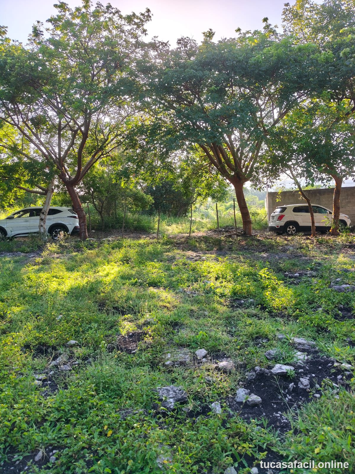 Terreno en venta en COMUNIDAD CARRRIZAL, Emiliano Zapata, foto 3