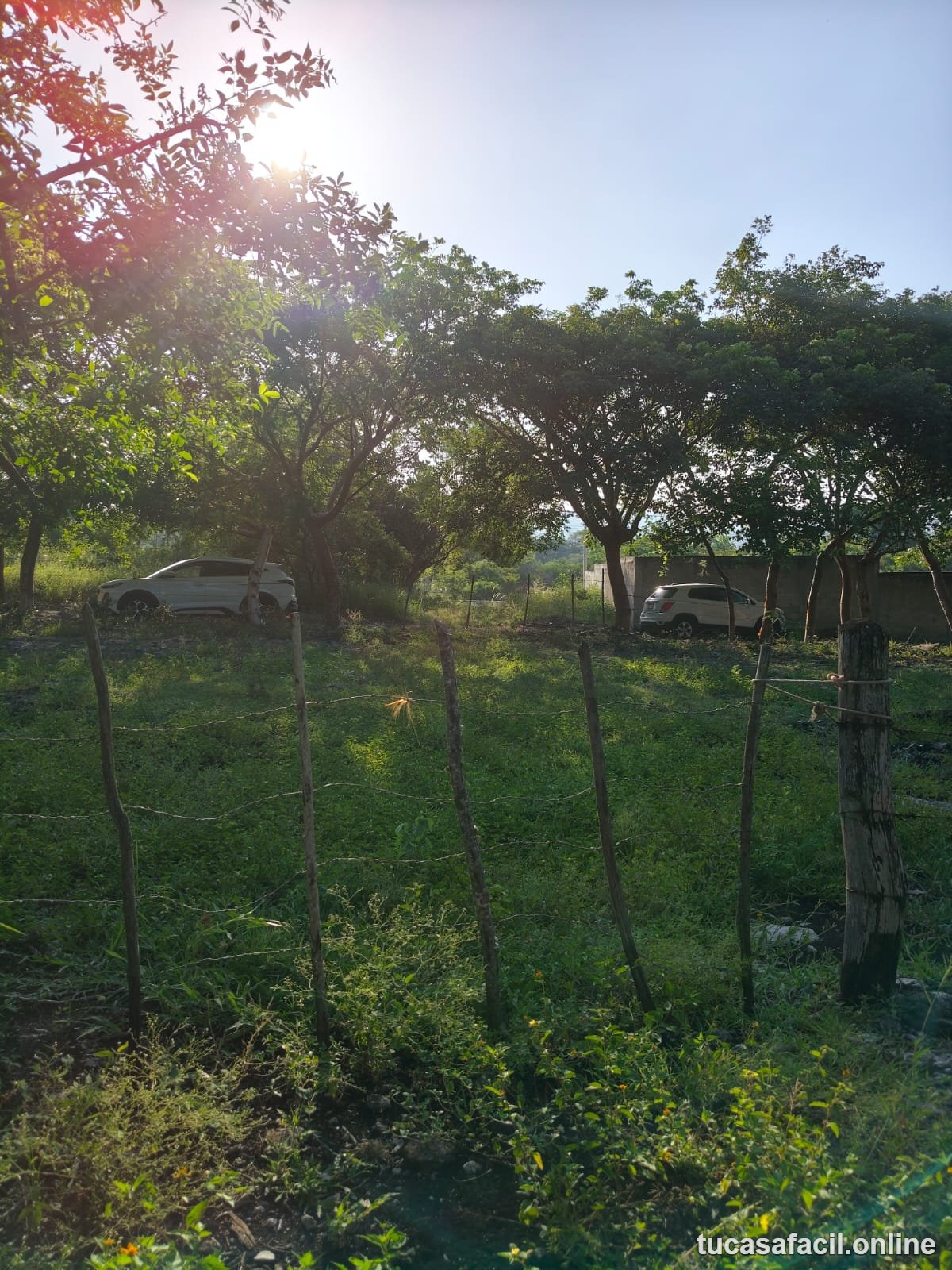 Terreno en venta en COMUNIDAD CARRRIZAL, Emiliano Zapata, foto 4