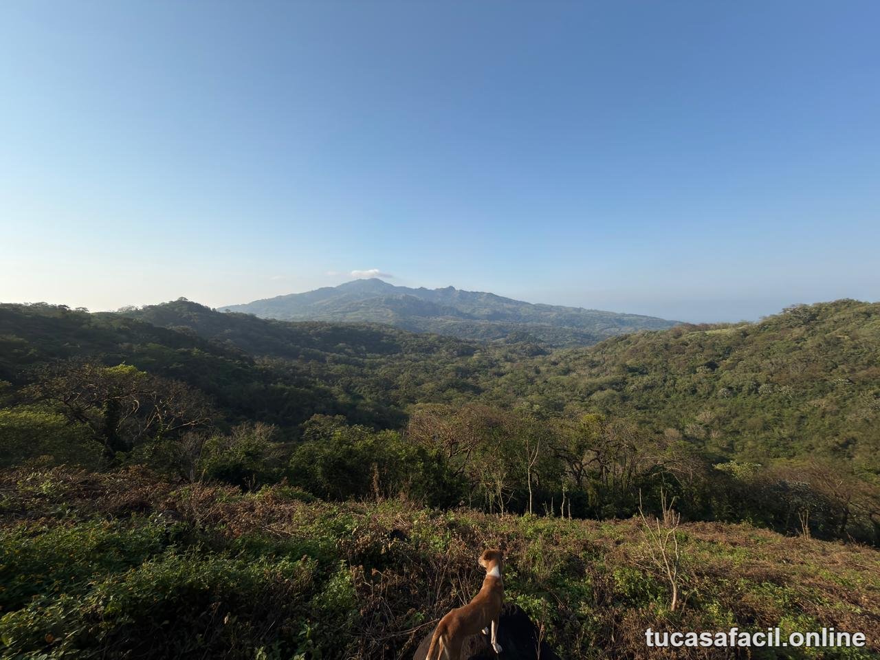 Terreno en venta en Comunidad Cerro Blanco, Santiago Tuxtla, foto 3