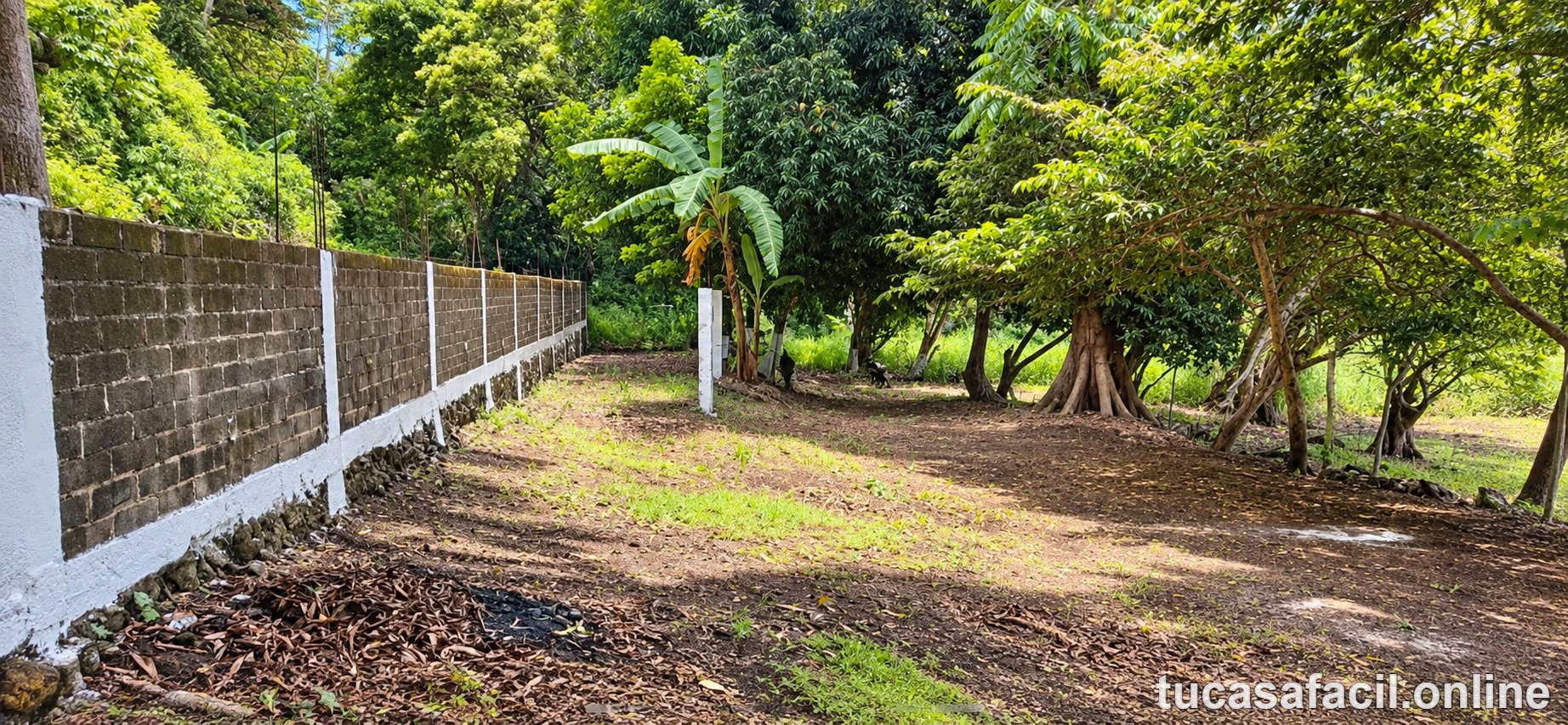 Terreno en venta en comunidad, Escuinapa, foto 2