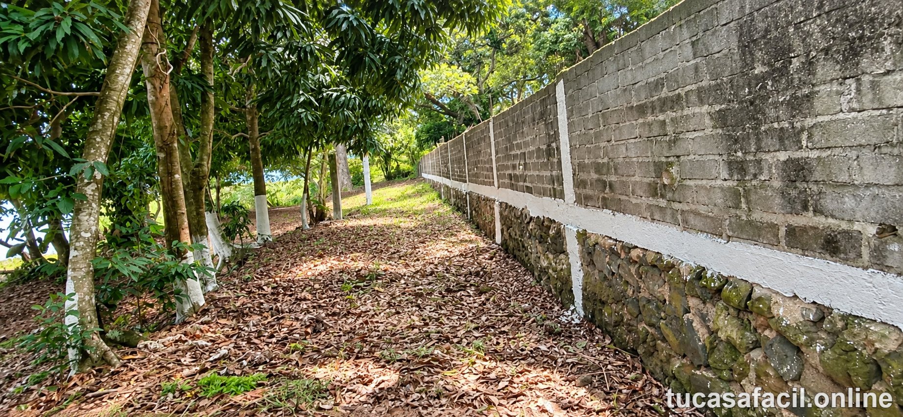 Terreno en venta en comunidad, Escuinapa, foto 3