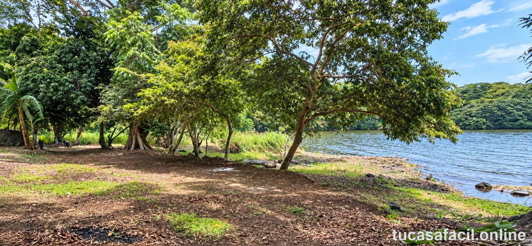Terreno en venta en comunidad, Escuinapa, foto 4
