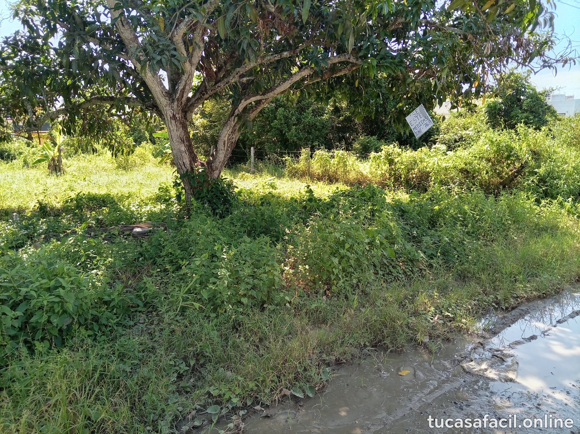 Terreno en venta en FRACCIONAMIENTO SAN MIGUEL, Naranjos Amatlán, foto 1