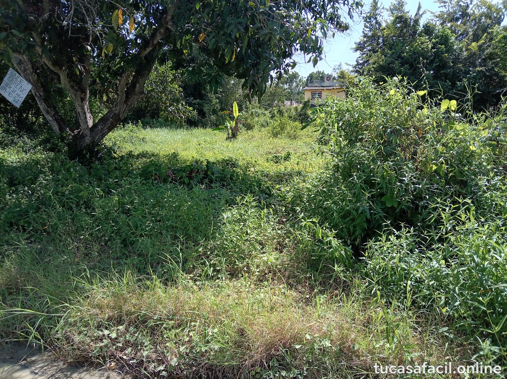 Terreno en venta en FRACCIONAMIENTO SAN MIGUEL, Naranjos Amatlán, foto 2
