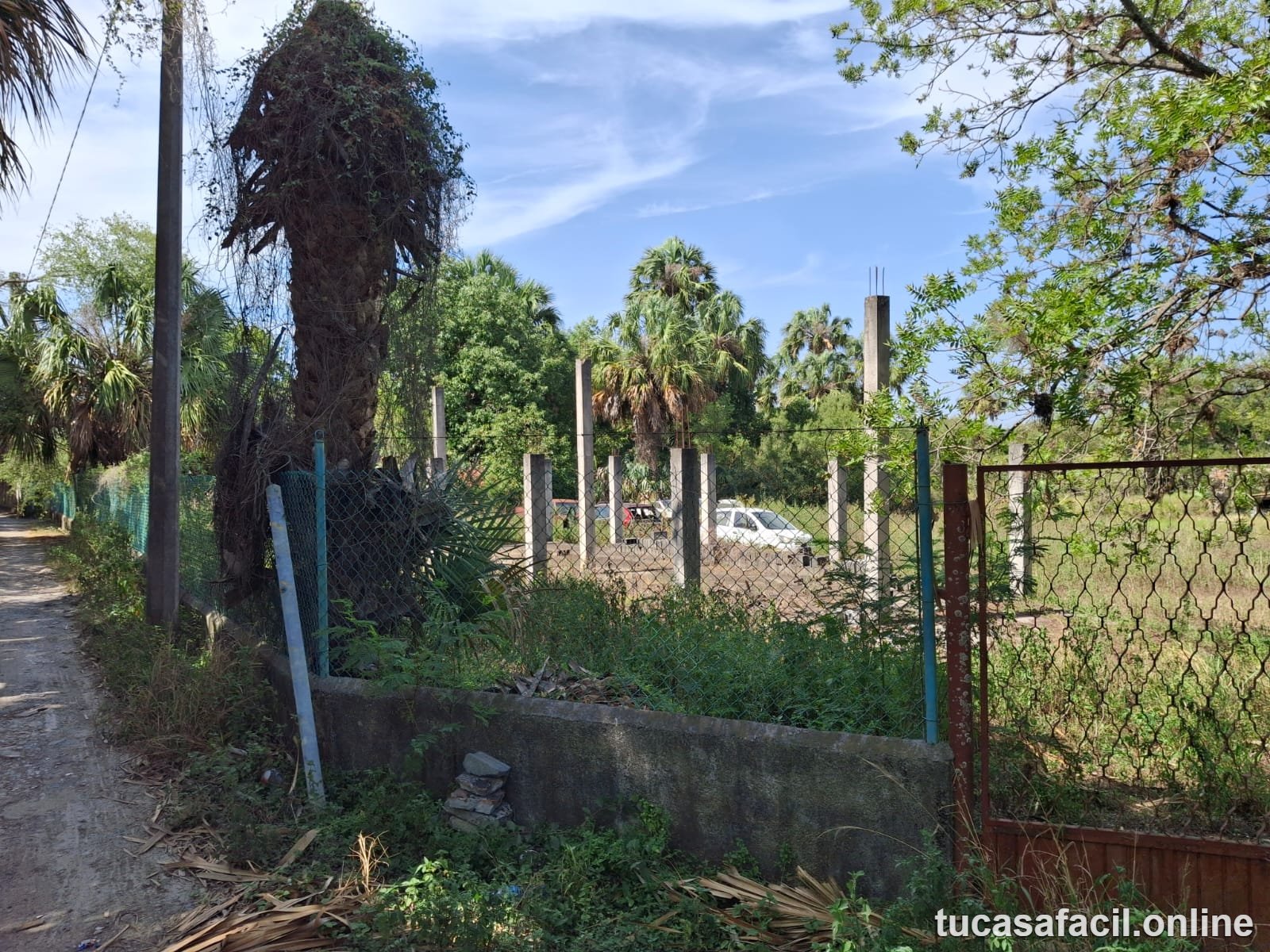 Terreno en venta en San Mateo, Juárez, foto 2
