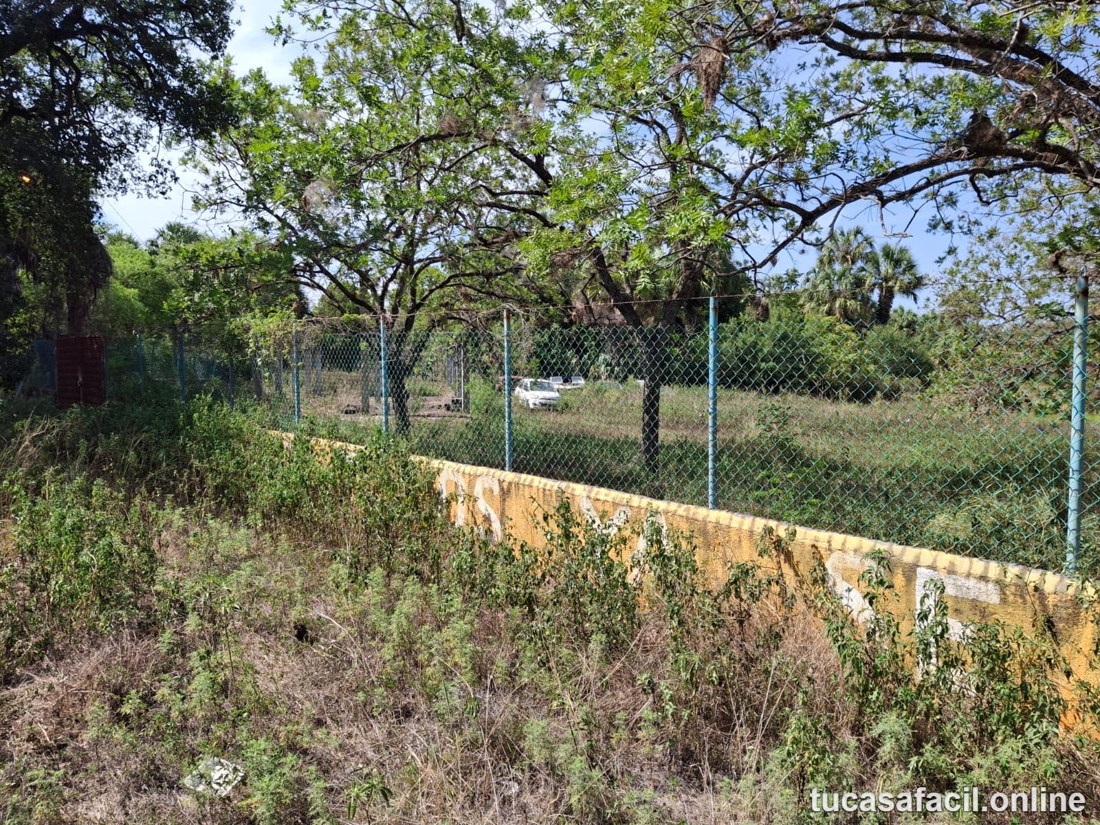 Terreno en venta en San Mateo, Juárez, foto 7