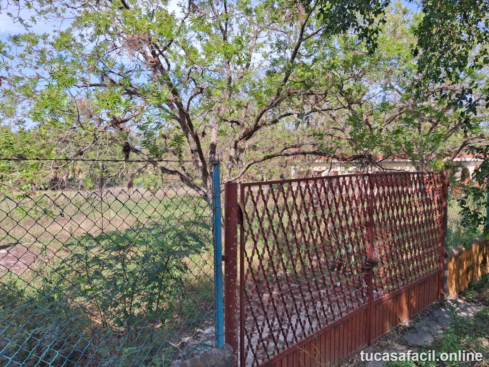 Terreno en venta en San Mateo, Juárez, foto 6