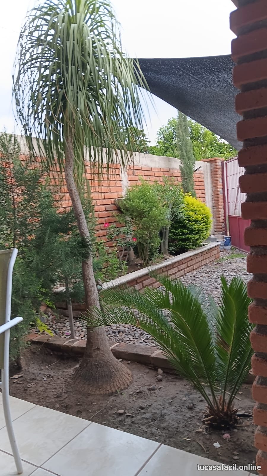 Casa en venta en Loma Linda, Álamos., Álamos, foto 7