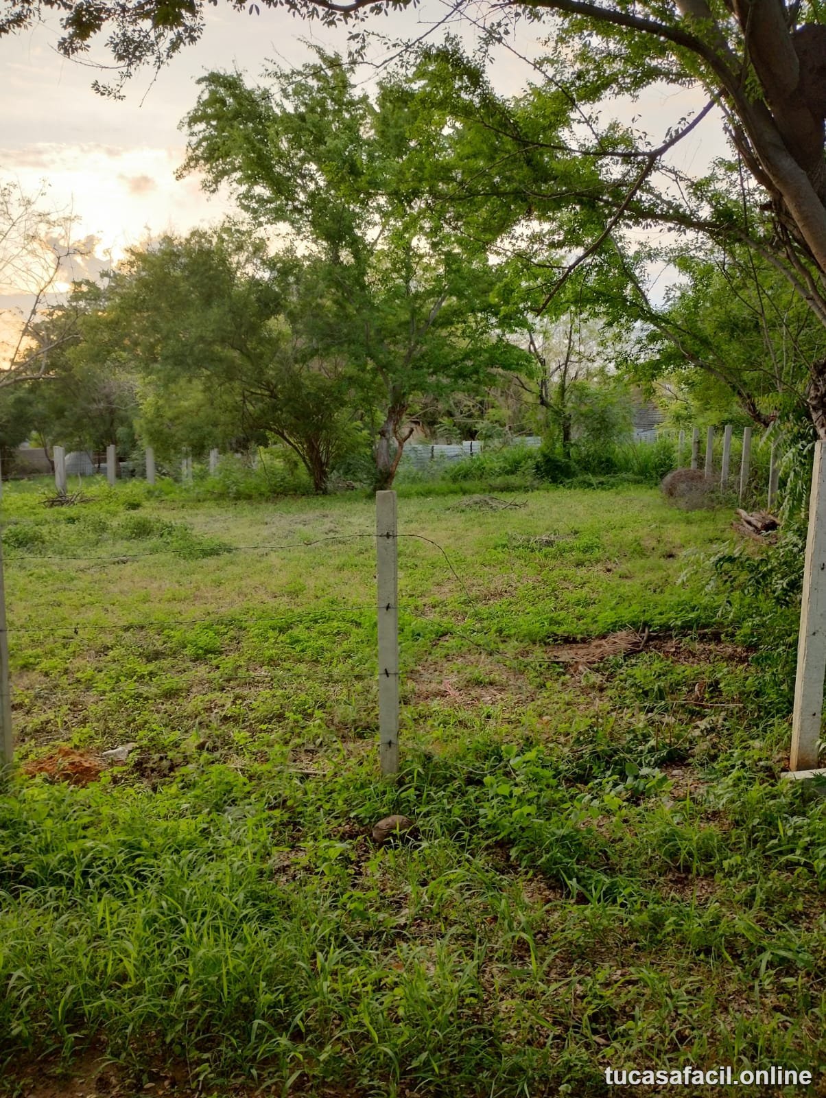 Terreno en venta en los tamaridos, Puerto Escondido, foto 2