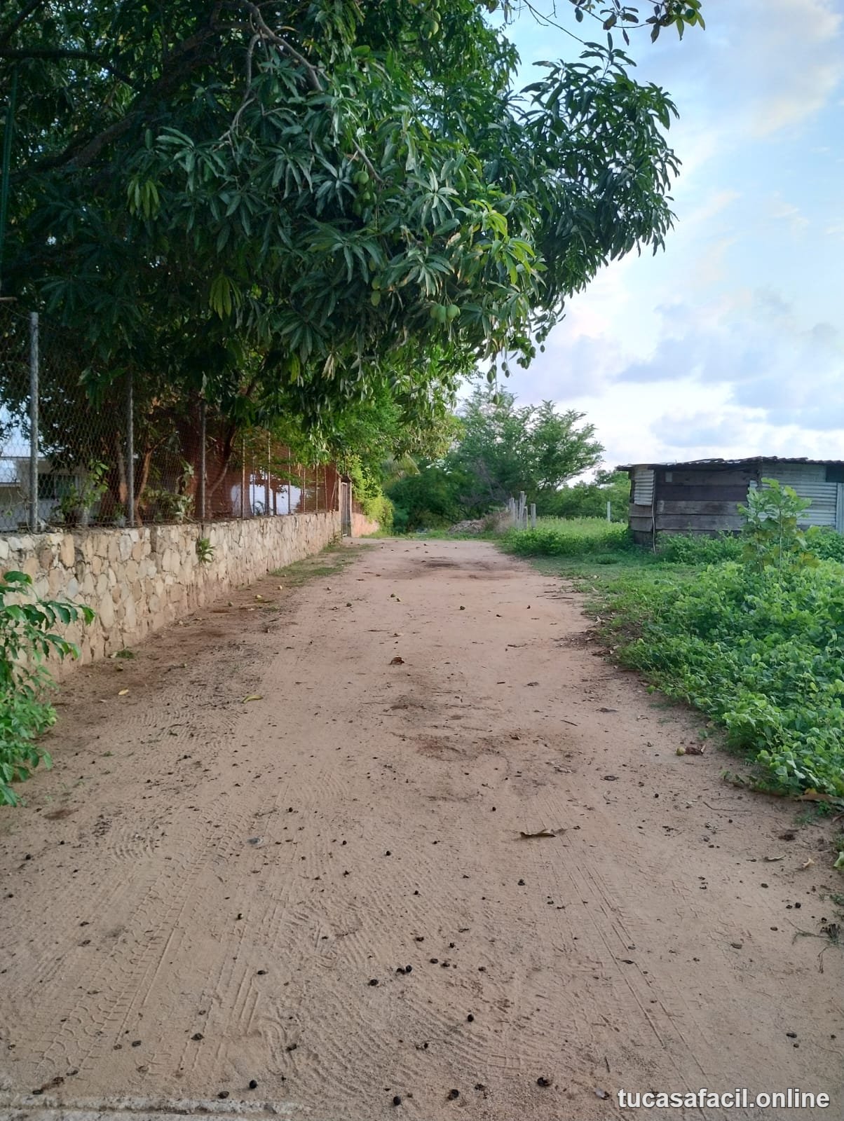 Terreno en venta en los tamaridos, Puerto Escondido, foto 3