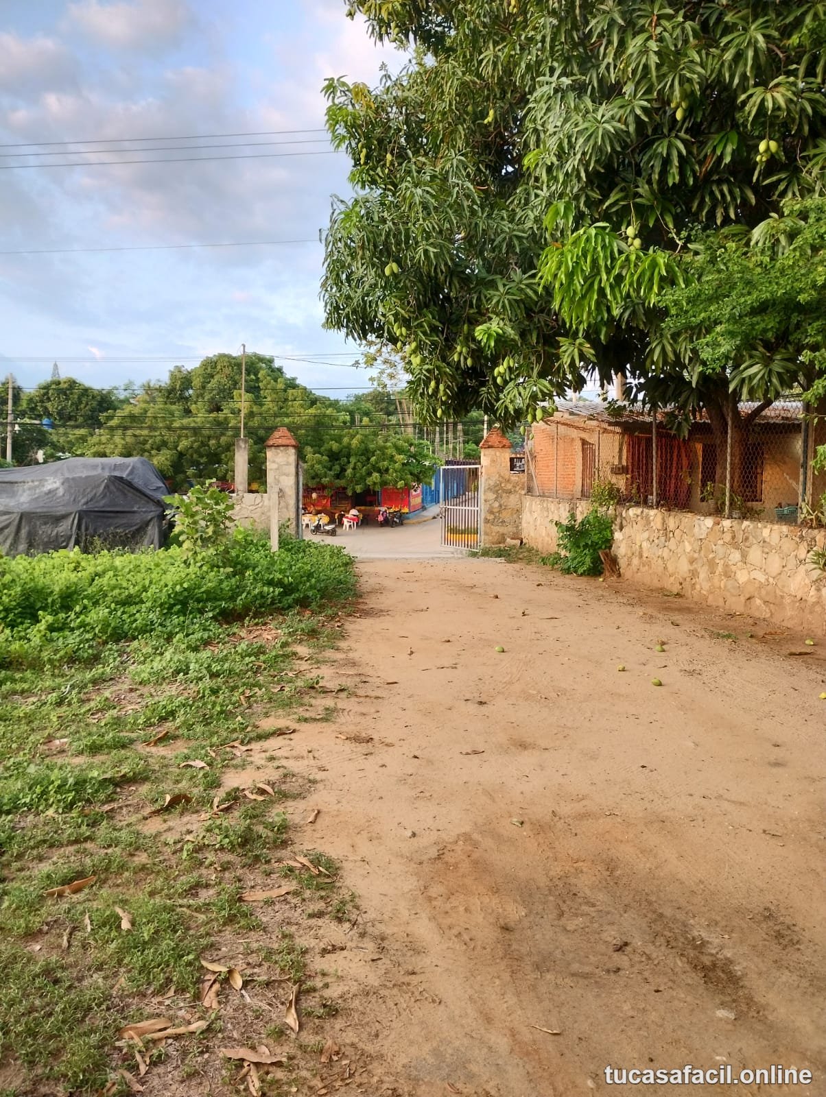 Terreno en venta en los tamaridos, Puerto Escondido, foto 5