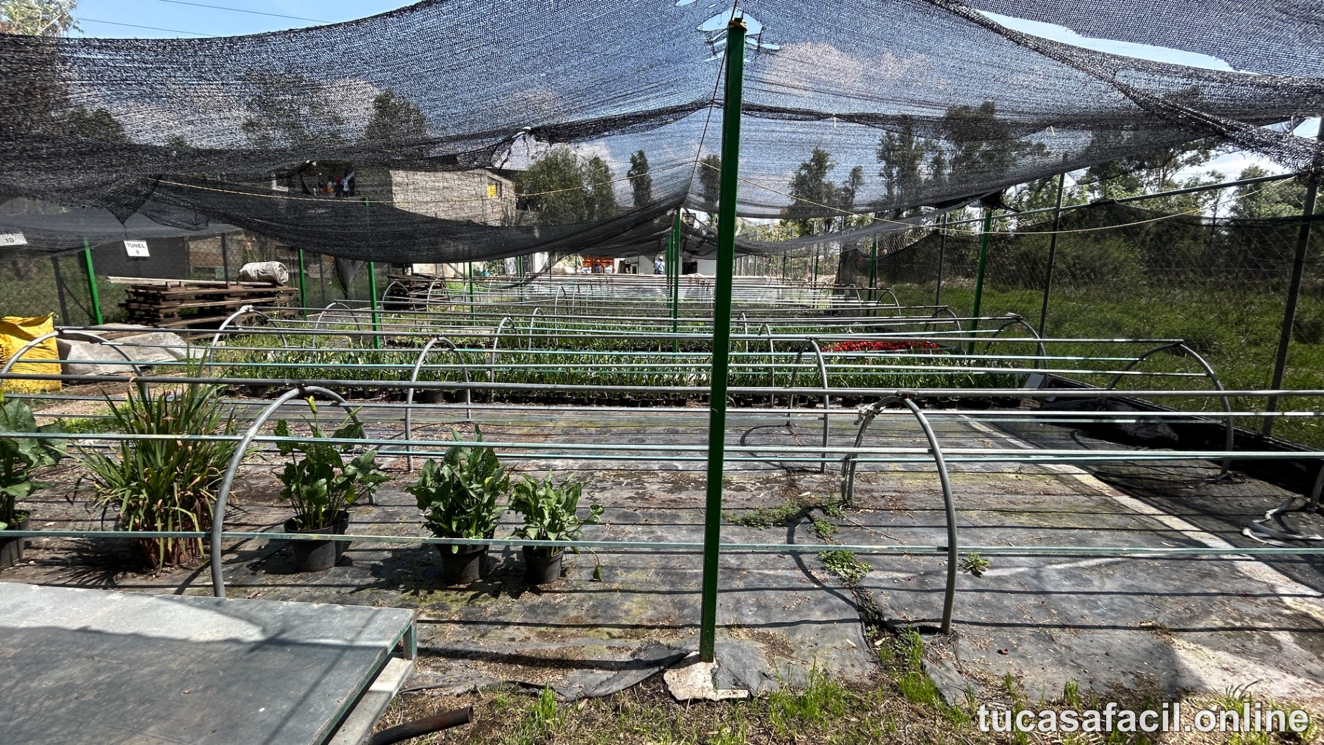 Casa en venta en Barrio 18, Xochimilco, foto 8